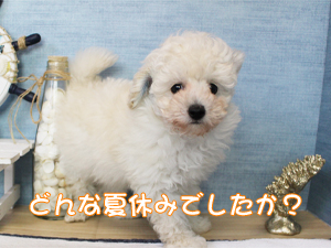 あっという間に９月です！